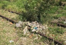 Sem perspectiva de soluções, abandono é a marca do presente da ferrovia na região de Presidente Prudente