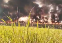 Na tarde de ontem fogo deu trabalho para ser contido em Monte Castelo