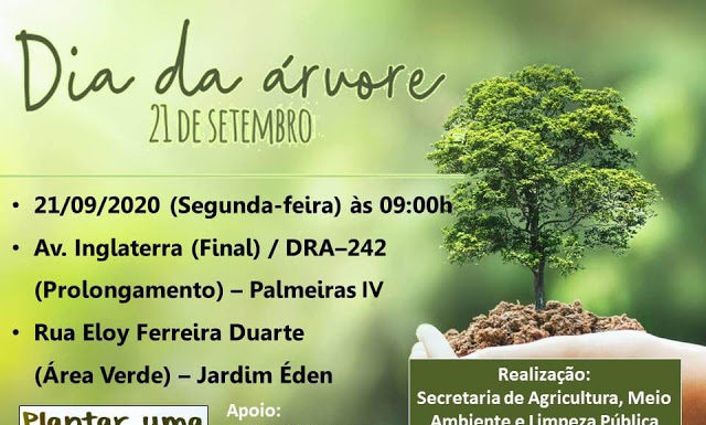 Hoje comemoramos o “Dia da Árvore”