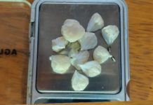 Polícia Civil prende mãe e filho suspeitos em envolvimento com tráfico de drogas em Dracena