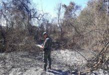 Fogo em vegetação gera multas de mais de R$ 130 mil em Martinópolis e Tupi Paulista