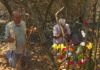 Altar em homenagem à Nossa Senhora fica intacto em Cajuru, SP, em mata destruída por fogo