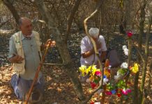 Altar em homenagem à Nossa Senhora fica intacto em Cajuru, SP, em mata destruída por fogo