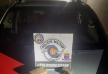 Casal é preso por Tráfico de Drogas em Panorama