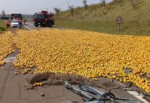 Batida entre carro e caminhão deixa feridos e espalha carga de laranja em rodovia