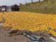 Batida entre carro e caminhão deixa feridos e espalha carga de laranja em rodovia