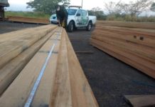 Após denúncia anônima, Polícia Ambiental constata transporte e depósito irregular de Madeira em Junqueirópolis