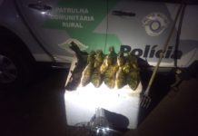 Polícia Ambiental flagra pesca irregular de 13 peixes durante fiscalização no Rio Paraná e multa pescadores