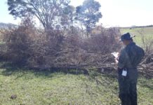 Sitiante é autuado em mais de R$ 40 mil por infrações florestais em Pacaembu