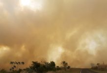 Trânsito ficou parado entre Santo Expedito e Flora Rica por causa de grande incêndio, pista já foi libera
