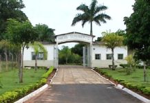 Presos do regime semiaberto pulam alambrado e fogem da Penitenciária de Presidente Prudente