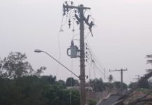 Moradores do Jardim Brasilândia reclamam de árvore caída que derrubou fios há uma semana