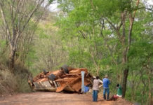 Ônibus tomba e vários trabalhadores rurais ficam feridos