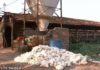 Duas Granjas de Bastos registram mortes de 35 mil Galinhas por causa do Calor