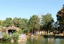 Diretoria da Pousada Bom Samaritano esclarece a população sobre a retirada de aves e animais