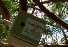 Aparelho de contagem de veículos está assustando motoristas no trecho Tupi Paulista a Dracena