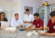 Veja 8 motivos para estudar na Unesp de Dracena