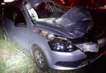 Acidente deixa duas pessoas feridas e animal morto na SP-294