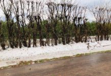 Chuva de granizo ‘cobre’ acostamento de vicinal no interior de SP