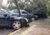 Carros são atingidos por árvore durante forte chuva em Araçatuba