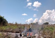 Avião com presidente e jogadores do Palmas Futebol e Regatas cai logo após decolar; 6 pessoas morreram