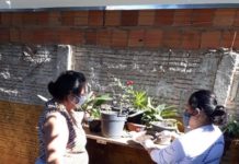 Vigilância Epidemiológica registra 11 casos de Dengue