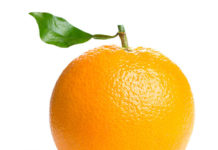 Dracena pode voltar para a FASE LARANJA, Governador fará pronunciamento as 12:45 horas