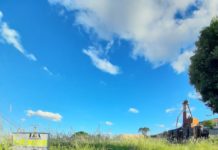 Terreno com mato e máquinas abandonadas preocupa moradores
