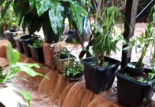 Chácara que nunca teve problemas foi prejudicada pela chuva de ontem