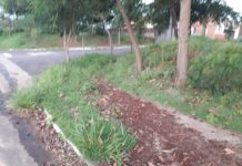 Moradores do Residencial Santa Mônica pedem limpeza em Praça