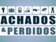 Foi perdido uma Carteira com todos os documentos