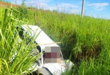 Capotamento com cinco vítimas foi registrado próximo a Flora Rica