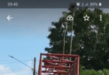 Moradores reclamam de mato no Pontilhão da Marechal Rondon