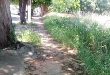 Lixo, mato e andarilhos incomodam moradores no Bairro São Francisco