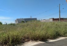 Multas para donos de terrenos sem manutenção aumentam mais de 29% em comparação a 2020