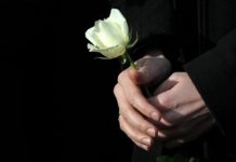 Luto sem despedida (por Cidinha Pascoaloto)