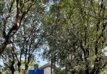 Cemitério de Dracena funcionará neste “Dia das Mães” em horário normal