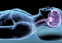 O que seu Cérebro faz enquanto você dorme? (por Cidinha Pascoaloto)