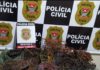 Polícia Civil prende suspeitos de envolvimento em furto e receptação de fios e cabos de cobre em Ouro Verde