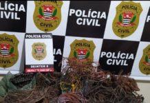 Polícia Civil prende suspeitos de envolvimento em furto e receptação de fios e cabos de cobre em Ouro Verde