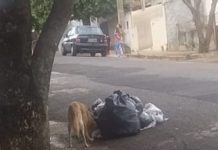 Moradora reclama de coleta de lixo