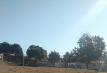 Moradores do Jardim Brasilândia reclamam de abandono da área de lazer Dr. Luiz Carlos Siste