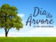 Hoje comemora-se o “Dia da Árvore”