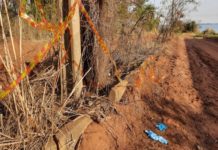 Polícia prende ex-namorada suspeita de matar e esquartejar homem em Presidente Epitácio