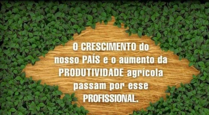 12 de outubro é o Dia do Engenheiro Agrônomo