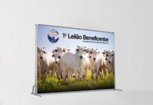 Leilão em prol da Santa Casa de Dracena foi sucesso