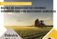 AEARD promove Palestra Híbrida (presencial e online) gratuíta