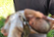 Mãe é presa em flagrante por tentativa de homicídio após abandonar bebê recém-nascida em pasto em Emilianópolis