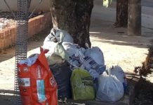 Moradores reclamam de falha no recolhimento de folhas