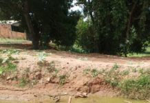 Moradores do Jardim Brasilândia reclamam de Lagoa que está com mau cheiro